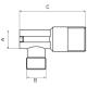 Ferro Zawór kątowy 1/2"x1/2"  (Z1212G) 1