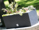 Prosperplast Doniczka RATO CASE 600mm umbra - DRTC600-440U 3