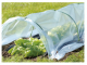 Greenmill Miniszklarenka 300 cm x 150 cm x 48 cm (GR5001) 1