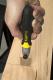 Stanley Piła japońska Fatmax mini 120mm dwustronna (0-20-331) 2