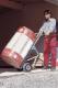 Wolfcraft Wózek transportowy TS 1000 (5520000) 7