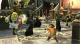 Shrek Forever (Shrek 4) Xbox 360 4