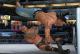 WWE SmackDown! vs. RAW 2010 Platinum 12