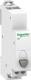 Schneider Electric Pojedynczy przycisk szary iPB 1 NO (A9E18032) 1