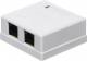 NetRack gniazdo kompletne natynkowe 2xRJ45 8p8c - (106-21) 1