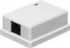NetRack gniazdo kompletne natynkowe 1xRJ45 8p8c - (106-20) 1
