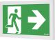 AWEX Oprawa awaryjna INFINITY II B LED 1W 3h jednozadaniowa PT szara IF2BWS/1W/CSE/PT/GR - IF2BWS/1W/CSE/PT/GR 2