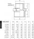 Perfexim Nypel redukcyjny mosiężny GZ 2 x 3/2" (07-007-5040-000) 2