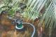 Metabo Pompa CWU TPS 16000 S Combi (251600000) 3