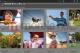 Adobe Photoshop Elements 9 + Adobe Premiere Elements 9 PL Win Retail (65088801) 2