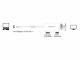 Adapter AV Delock DisplayPort Mini - DisplayPort - HDMI - DVI biały (61768) 1