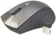 Mysz Tracer TRM-150W (TRAMYS39825) 1