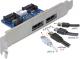 Delock Panel 2x eSATApd 5V / 12V (61725) 1