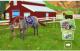 Saddle Club Przygoda w Siodle PC 2