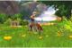 Saddle Club Przygoda w Siodle PC 4