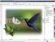 Corel DRAW Graphics Suite X5 Small Business Edition EN 3User Win Box (CDGSX5IESBE) 3