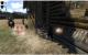 Mount&Blade Ogniem i Mieczem -Dzikie Pola PC 5