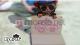 EyePet + Kamera Magic Card PL 4