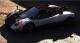 Test Drive Unlimited 2 9
