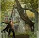 Robin Hood: The Secrets of Sherwood Forest PC 12