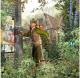 Robin Hood: The Secrets of Sherwood Forest PC 2