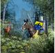 Robin Hood: The Secrets of Sherwood Forest PC 5