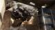 Red Faction: Guerrilla Steam Edition PC, wersja cyfrowa 13