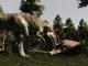 Gothic 3 PC, wersja cyfrowa 5
