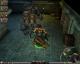 Dungeon Siege II PC, wersja cyfrowa 14
