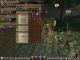 Dungeon Siege II PC, wersja cyfrowa 5
