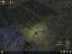 Dungeon Siege PC, wersja cyfrowa 11