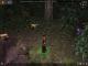 Dungeon Siege PC, wersja cyfrowa 8