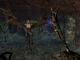 The Elder Scrolls III: Morrowind GOTY Edition Steam GLOBAL 7