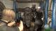 Resident Evil 4 PC, wersja cyfrowa 7