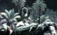 Call of Duty: World at War PC, wersja cyfrowa 14