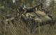 Call of Duty: World at War PC, wersja cyfrowa 4