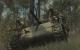Call of Duty: World at War PC, wersja cyfrowa 5