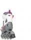 Rolki Rollerblade Combo G rekreacyjne regulowane szare r. 36-40 6