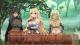 Sakura Fantasy Chapter 1 PC, wersja cyfrowa 11