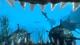 Shark Attack Deathmatch 2 PC, wersja cyfrowa 11