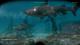 Shark Attack Deathmatch 2 PC, wersja cyfrowa 14