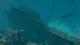 Shark Attack Deathmatch 2 PC, wersja cyfrowa 16