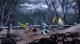 Microsoft Studios Dust: An Elysian Tail PC, wersja cyfrowa 3