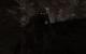 S.T.A.L.K.E.R.: Clear Sky PC, wersja cyfrowa 3