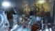 Dead Island: Riptide - Survivor Pack PC, wersja cyfrowa 6