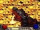 Diablo II PC, wersja cyfrowa 10