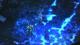 Diablo III PC, wersja cyfrowa 11