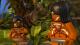LEGO Indiana Jones: The Original Adventures PC, wersja cyfrowa 4