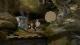 LEGO Indiana Jones: The Original Adventures PC, wersja cyfrowa 5