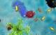 Spore Ultimate Digital Collection Origin Key GLOBAL 6